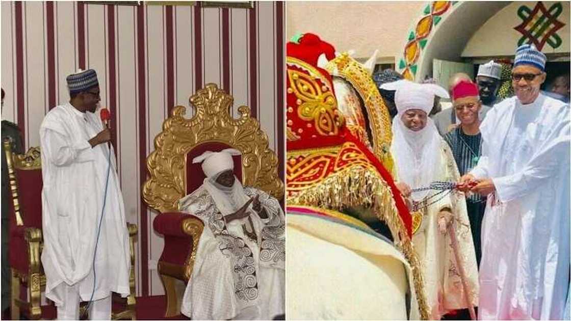 Yaba kyauta tukwici: Sarkin Zaria ya baiwa Buhari kyautar ingarman doki Yaba kyauta tukwici: Sarkin Zaria ya baiwa Buhari kyautar ingarman doki