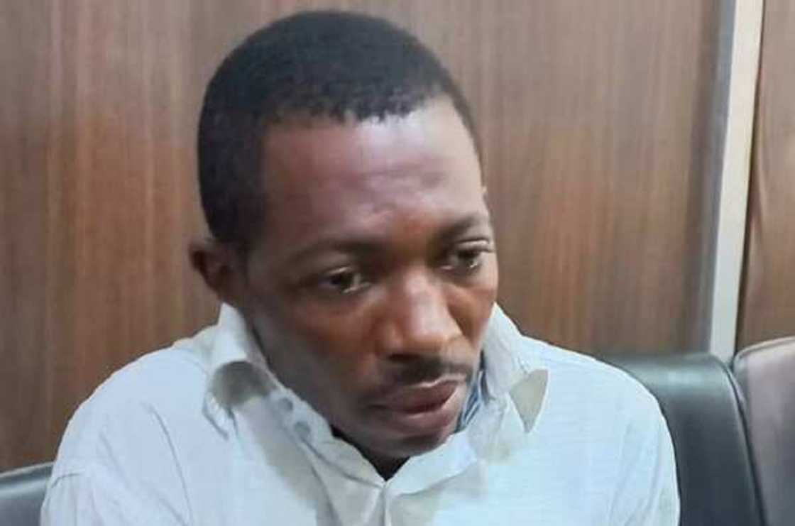 Lauyan bogi Lauyan bogi