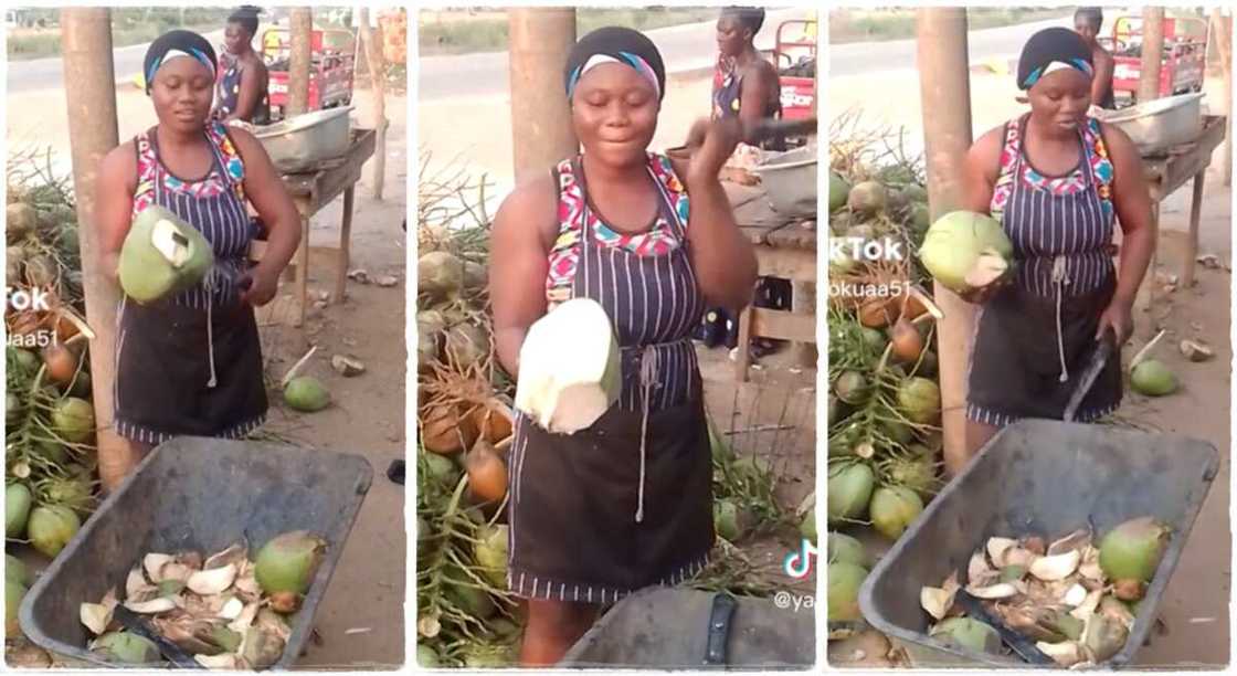 Photos of a coconut seller who is left-handed. Photos of a coconut seller who is left-handed.
