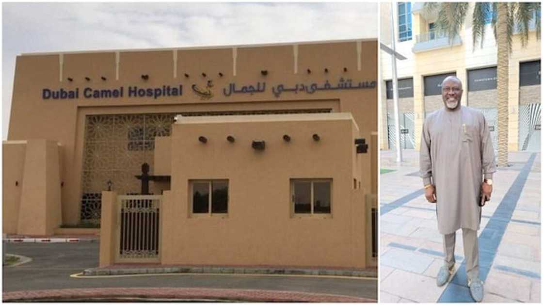 'Yan Najeriya sun yi wa Melaye martani bayan ya wallafa bidiyon asibitin rakuma a Dubai 'Yan Najeriya sun yi wa Melaye martani bayan ya wallafa bidiyon asibitin rakuma a Dubai