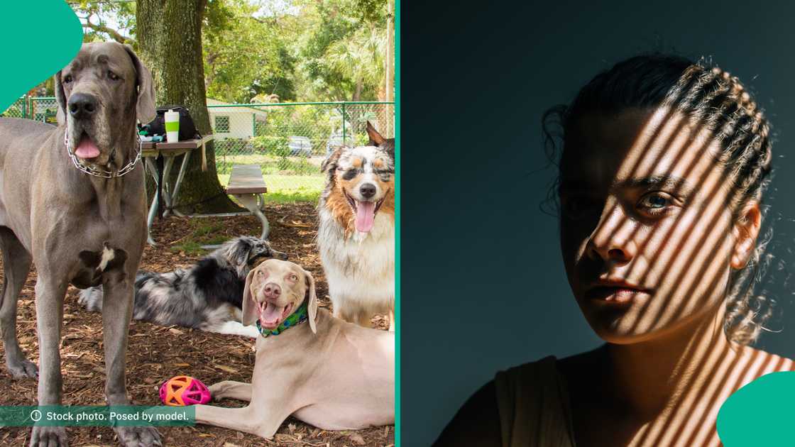 Nigerian woman dies in Italy after sustaining injury from dog attacks. Nigerian woman dies in Italy after sustaining injury from dog attacks.