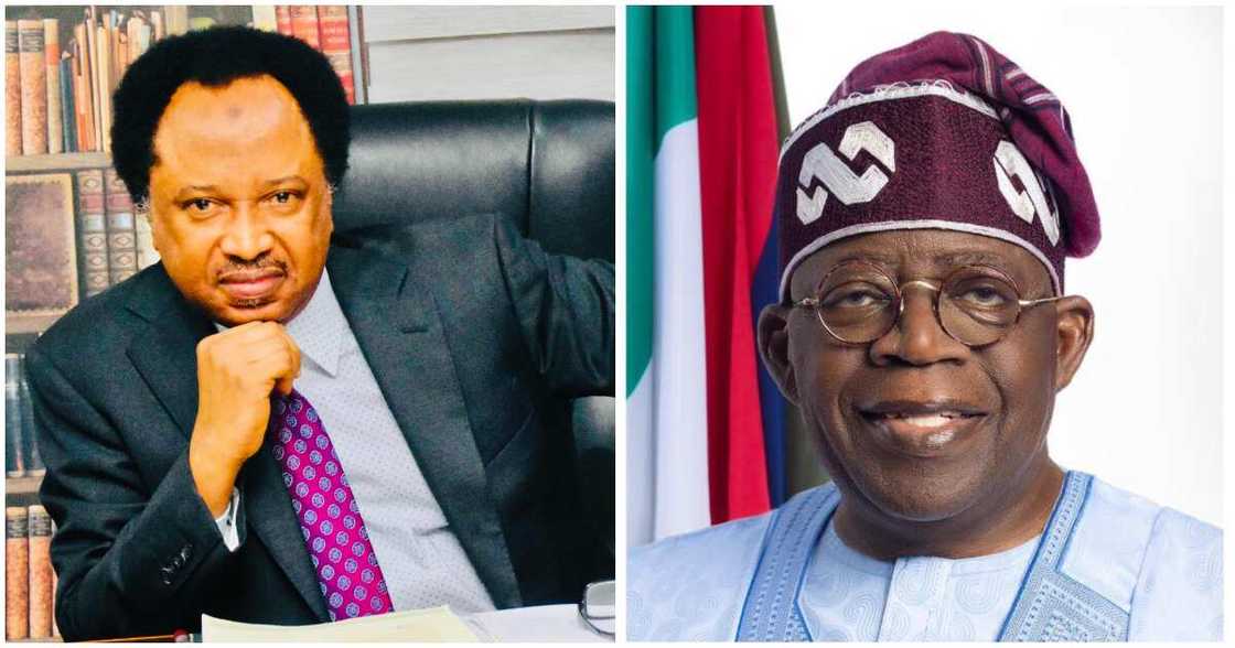 Shehu Sani reacts to Tinubu's ministerial nominees/ Shehu Sani calls some Tinubu's ministerial nominees serpents and vultures/Tinubu's ministerial nominees