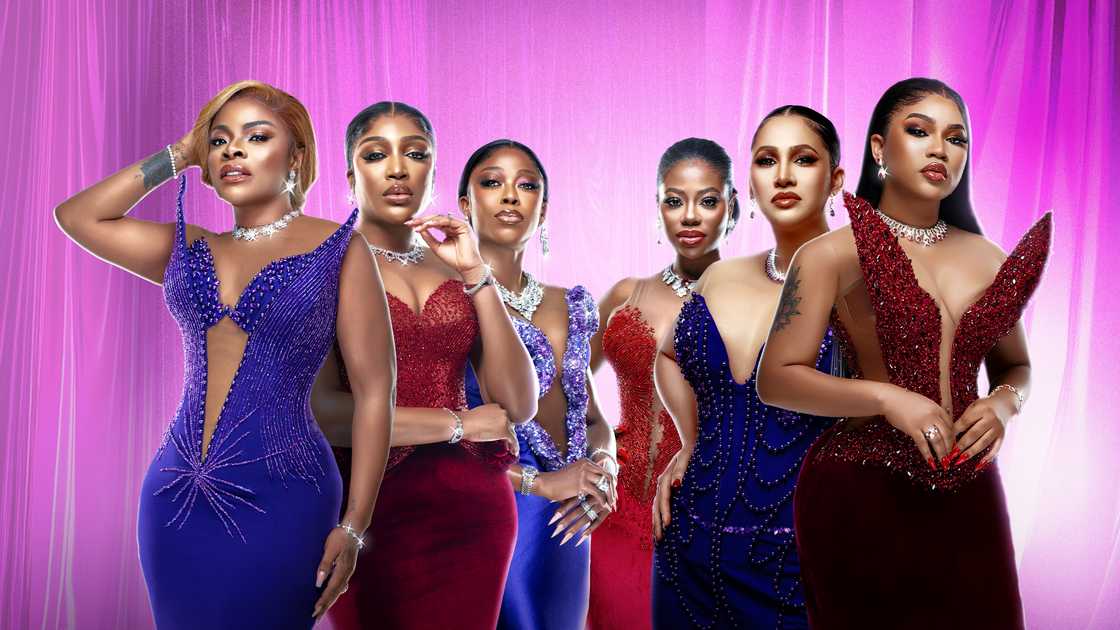 What to watch on Showmax for just N1,000 this March What to watch on Showmax for just N1,000 this March