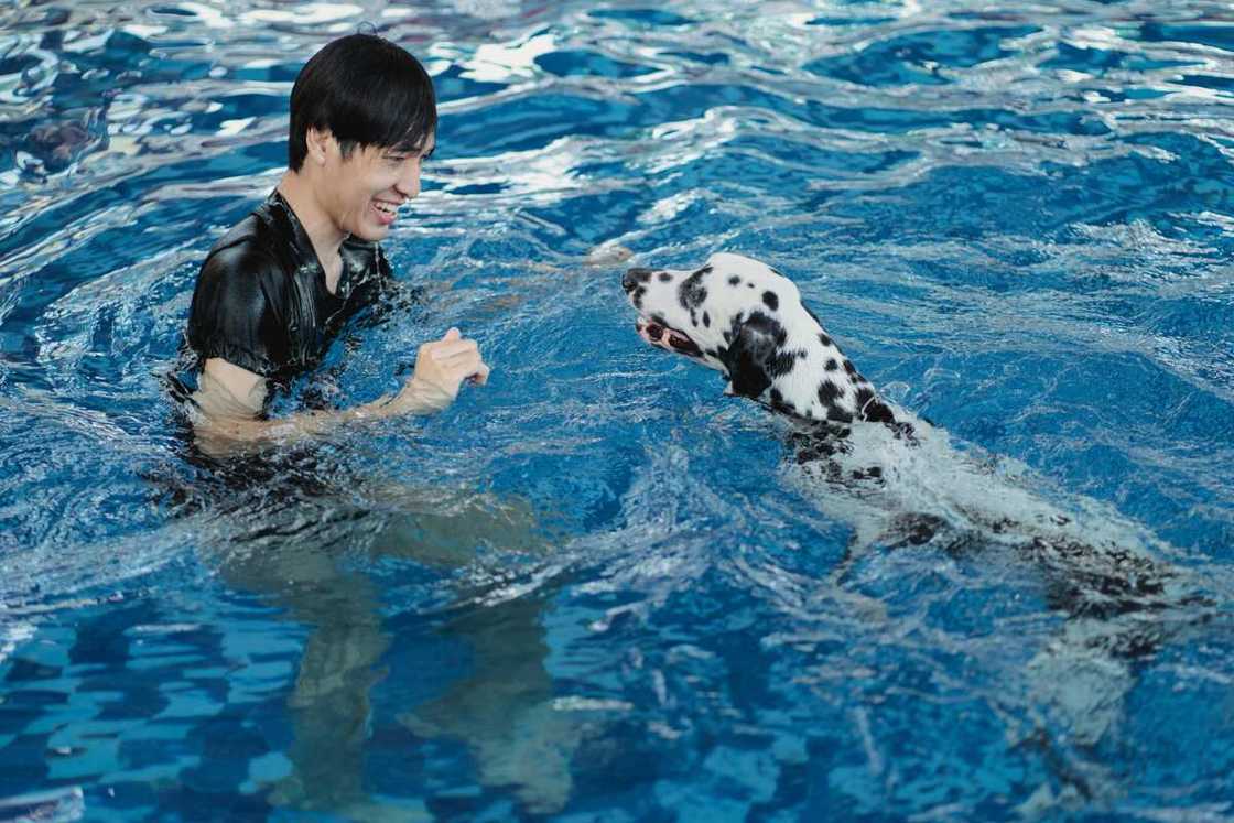 A man playing with a dog in a swimming pool A man playing with a dog in a swimming pool