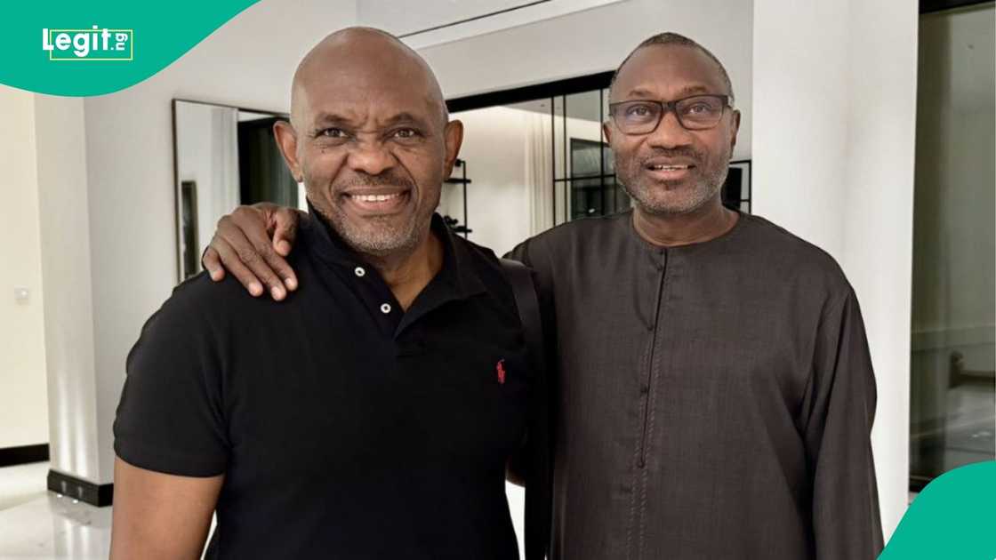 Wale Tinubu praises Otedola, Elumelu over Geregu, Seplat deals
