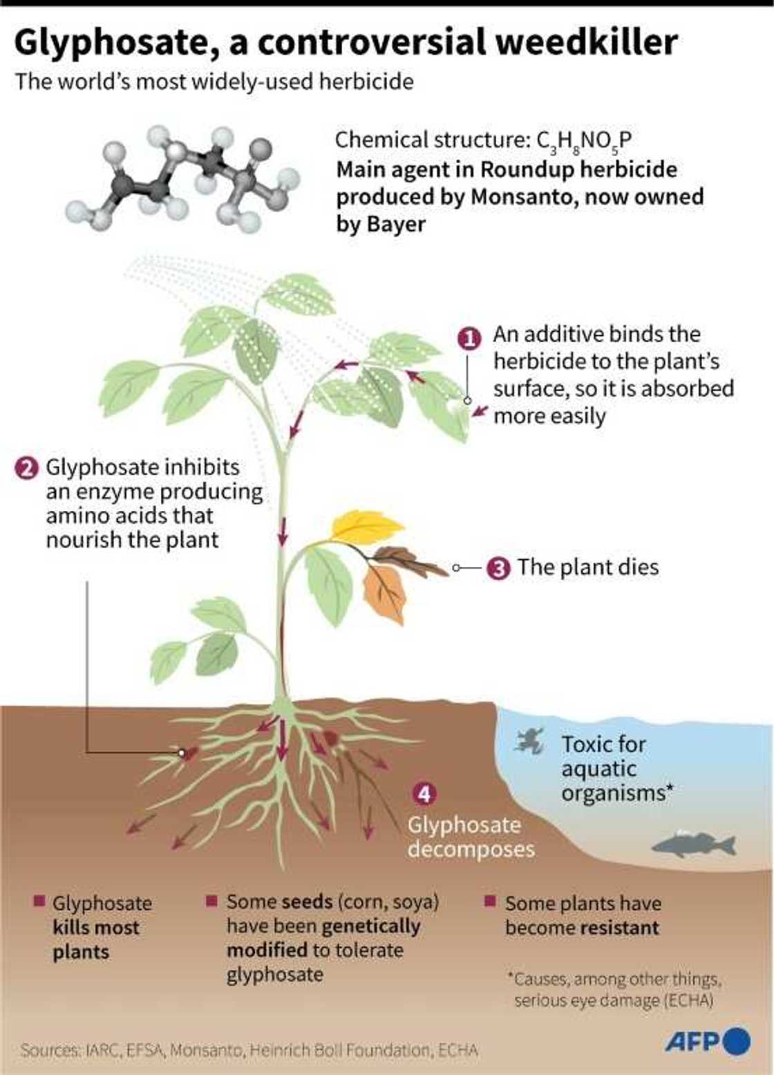 Glyphosate: a controversial weedkiller Glyphosate: a controversial weedkiller