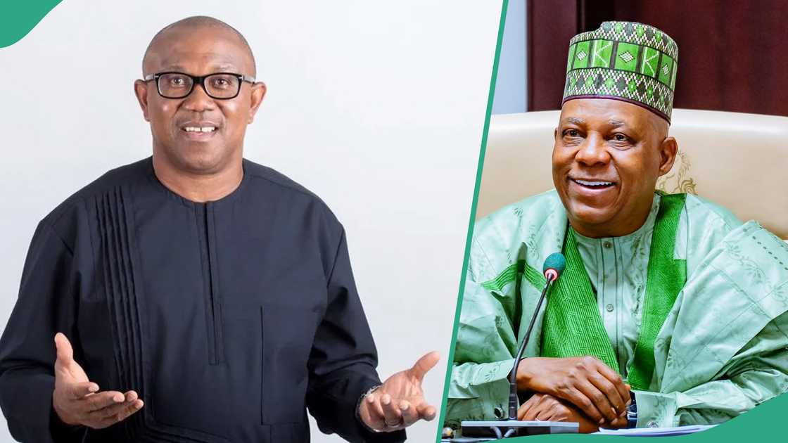 Shettima: Peter Obi faults demand for new plane