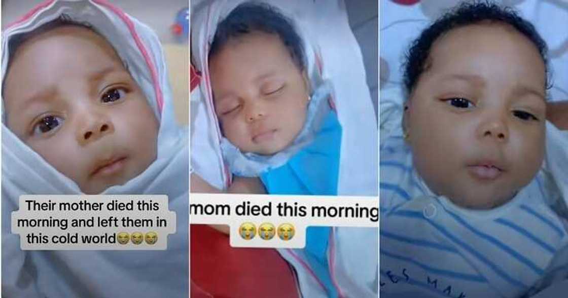 Video of baby who lost mum