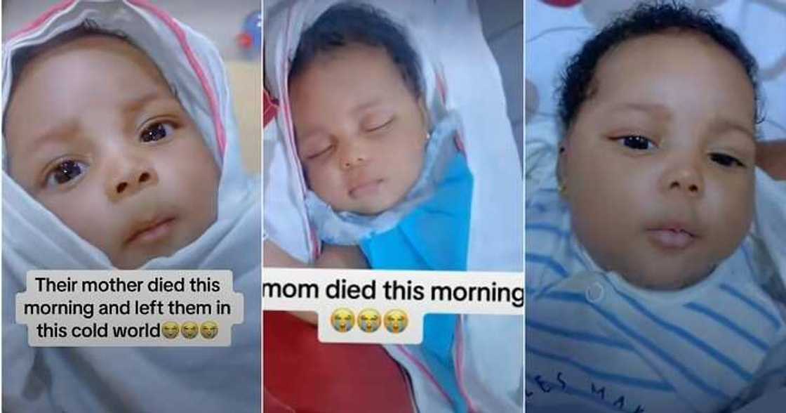 Video of baby who lost mum Video of baby who lost mum