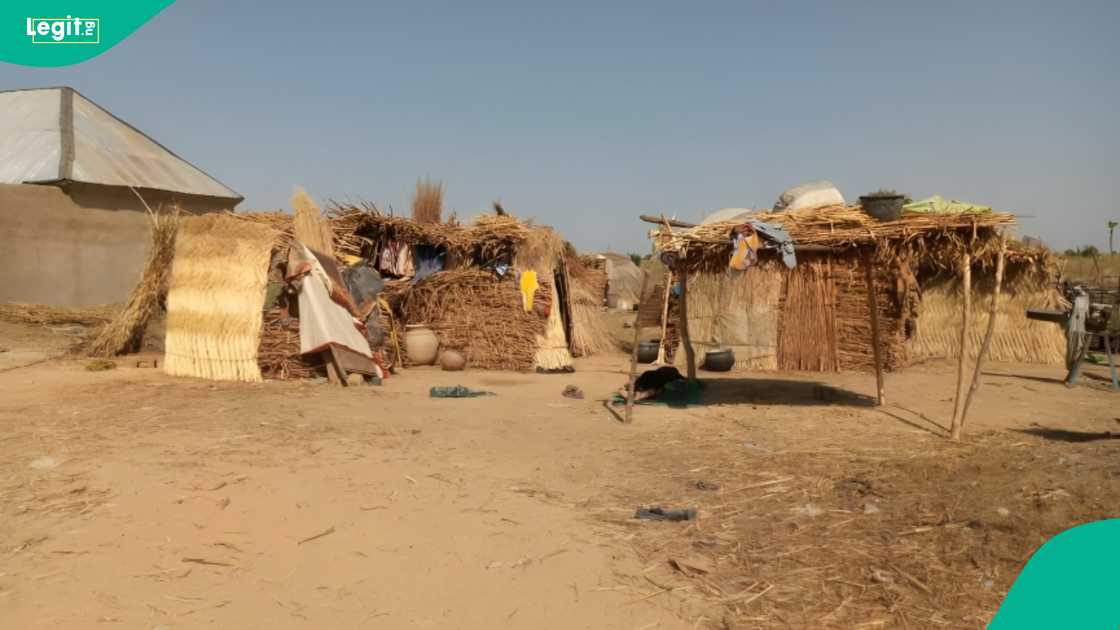 Life in the IDP camps is defined by extreme heat and lack of basic needs. Photo credit: Basit Jamiu
