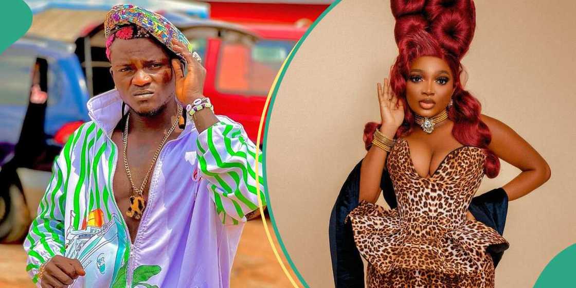 Portable Zazu, Papaya Ex Portable Zazu, Papaya Ex