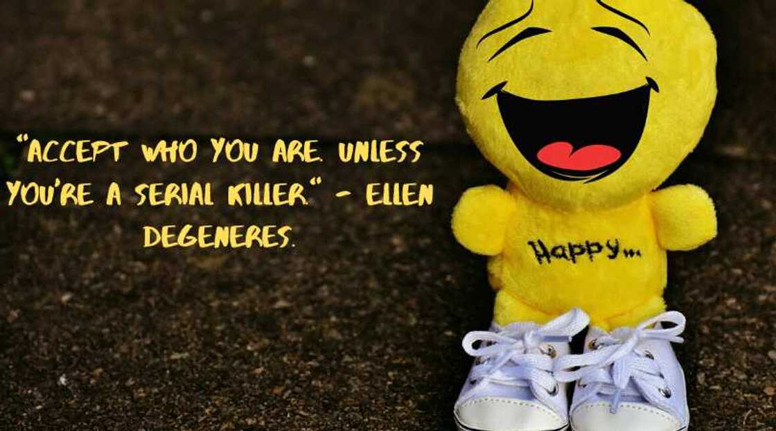 life quotes funny life quotes funny