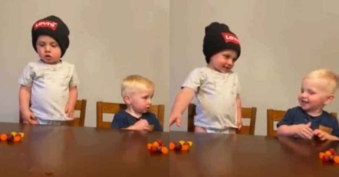 Adorable, babies, can't resist, temptation for sweets, internet loves them