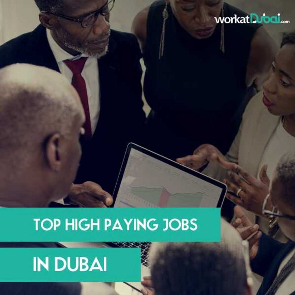 The top 5 highest paying jobs in Dubai The top 5 highest paying jobs in Dubai
