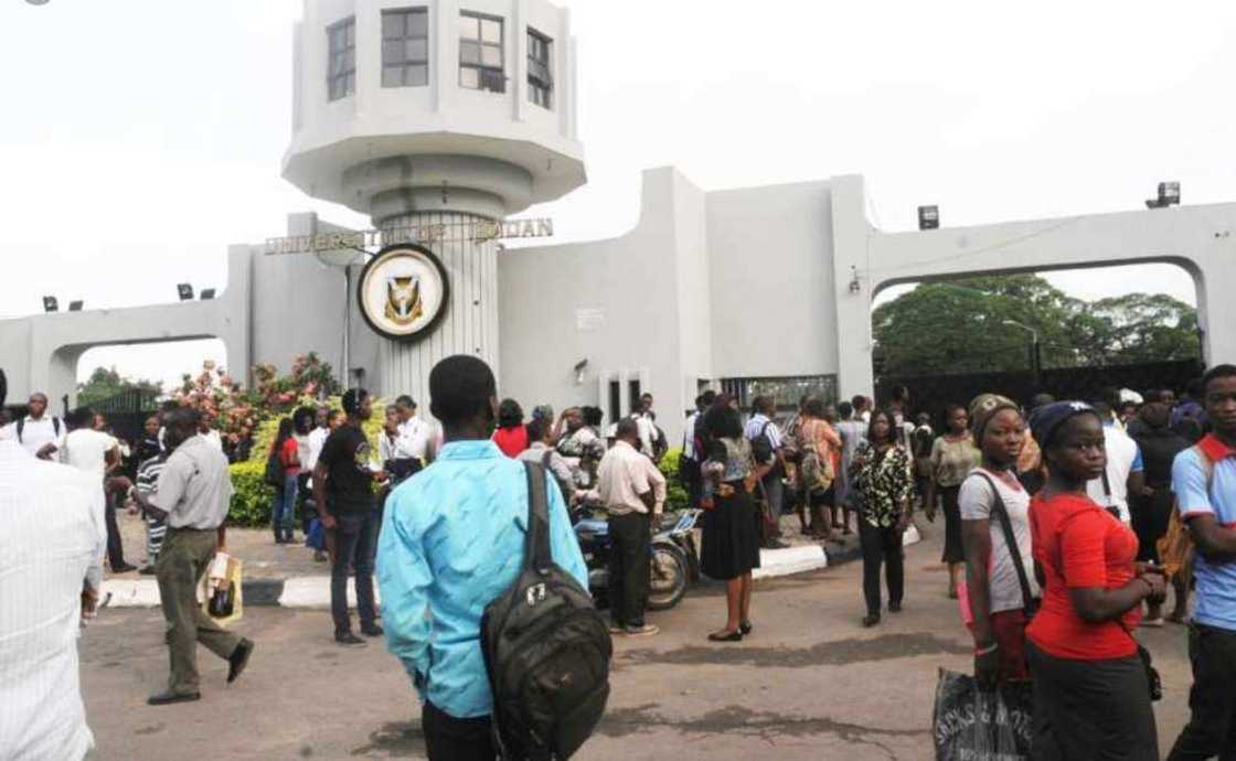 Education in Nigeria, Global universities' ranking, University of Ibadan, University of Lagos, University of Nigeria Nsukka