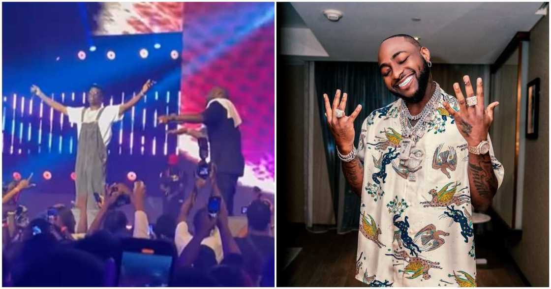 Rema, Rick Ross, Davido l Rema, Rick Ross, Davido l