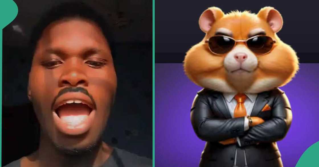 Man cries out, begs Hamster Kombat to launch already