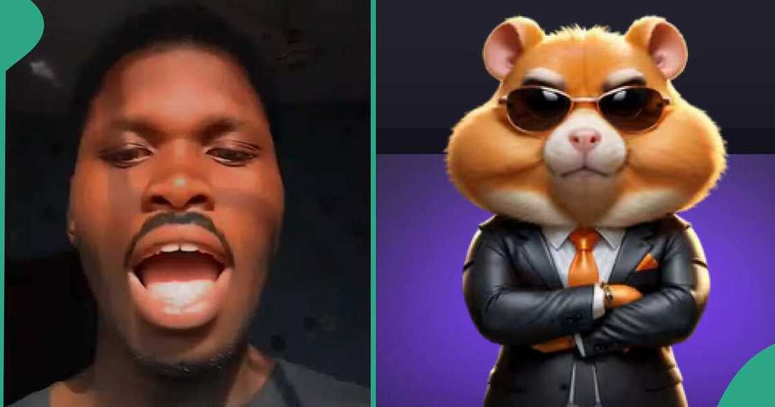 Man cries out, begs Hamster Kombat to launch already Man cries out, begs Hamster Kombat to launch already