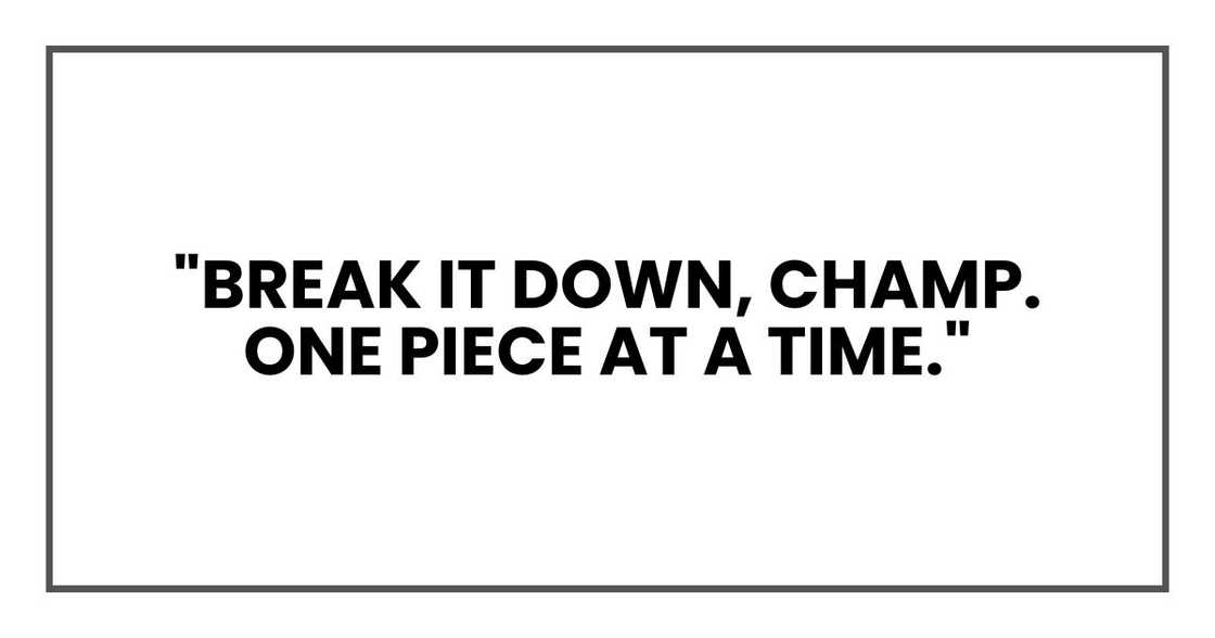 "Break it down, champ. One piece at a time." "Break it down, champ. One piece at a time."