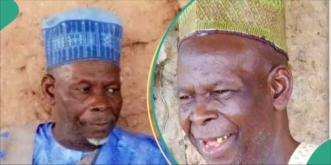 Gwani Sani Gwani Sani