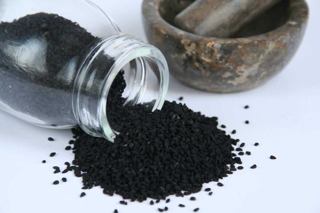 nigella-sativa nigella-sativa