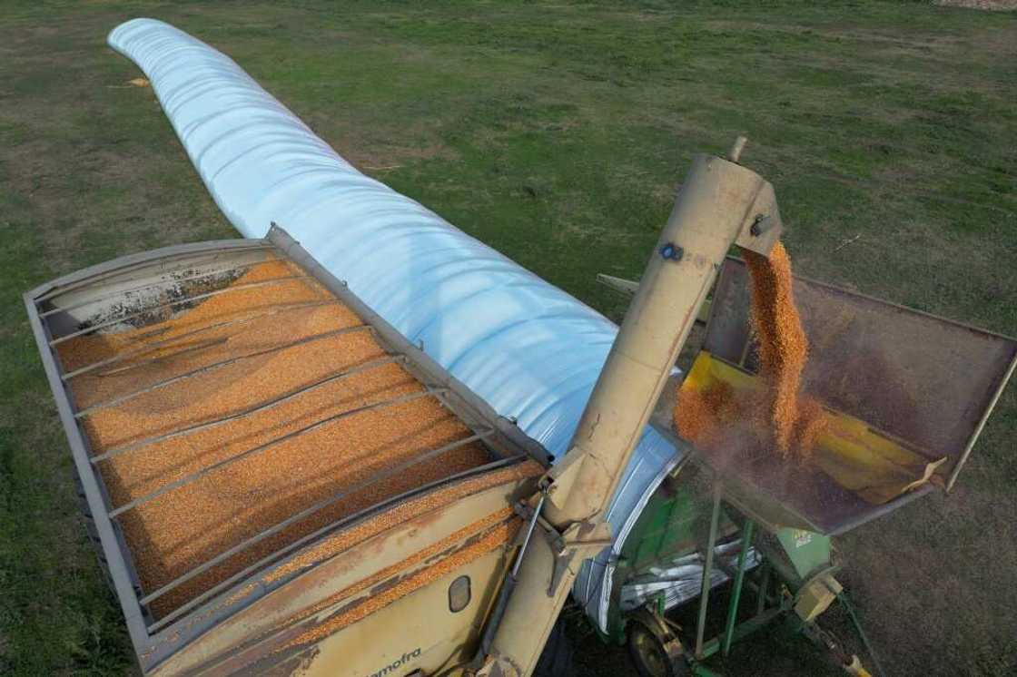 The combination of increased production and unfavorable economic conditions has left Argentina's fields dotted with 'silo bags' -- basically, tons of harvested soybeans and grains wrapped in plastic The combination of increased production and unfavorable economic conditions has left Argentina's fields dotted with 'silo bags' -- basically, tons of harvested soybeans and grains wrapped in plastic