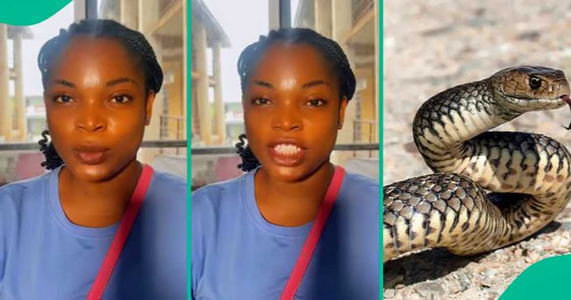A lady shares how her sister survived a snake bite twice, giving advice to avoid other Nigerians becoming victims.