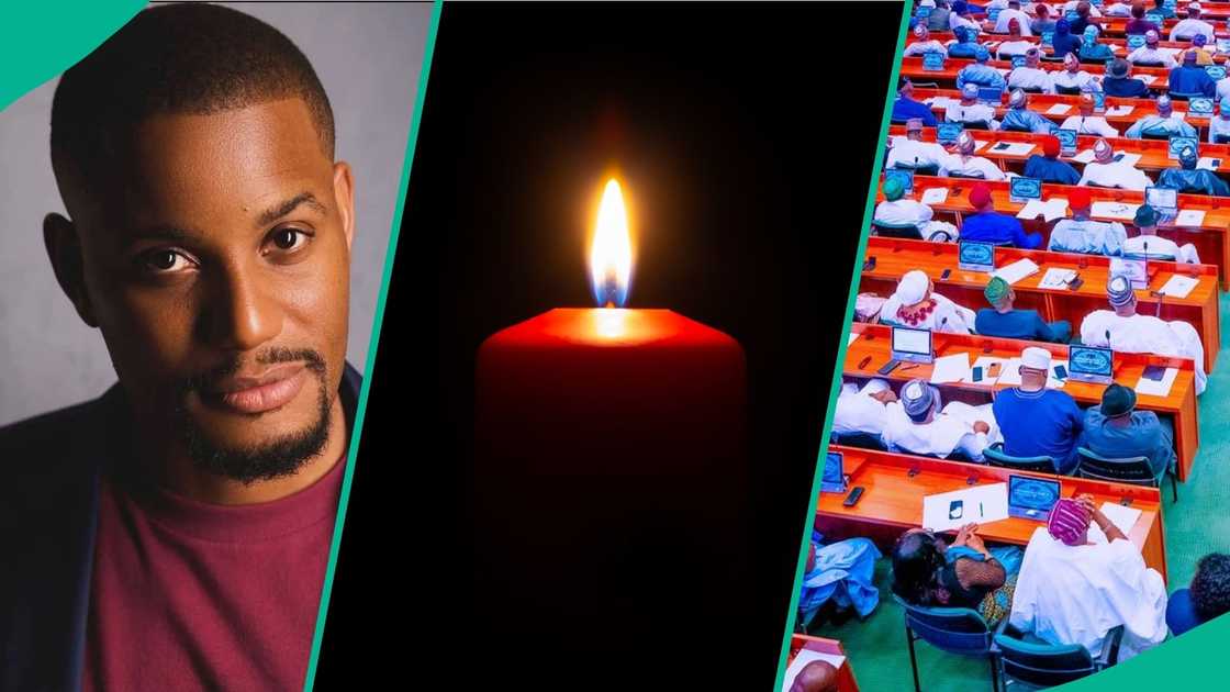 Dino Melaye, a chieftain of the ADC, has mourned the demise of Nigeria's Nollywood actor, Alex Ekubo, and former federal lawmaker, Abbas Anas Adamu, who was killed by bandits after the payment of ransom.