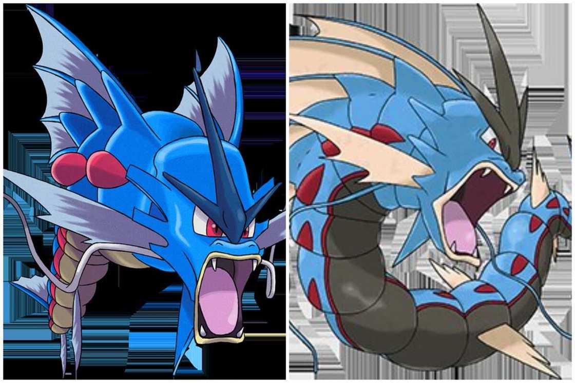 Cool-looking Pokemon Cool-looking Pokemon