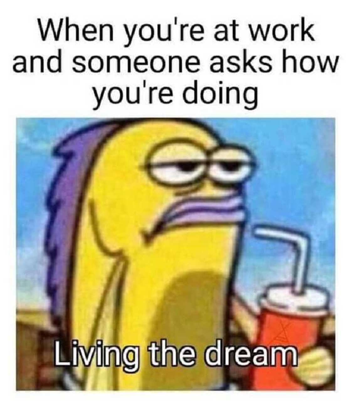 Happy Wednesday meme Happy Wednesday meme