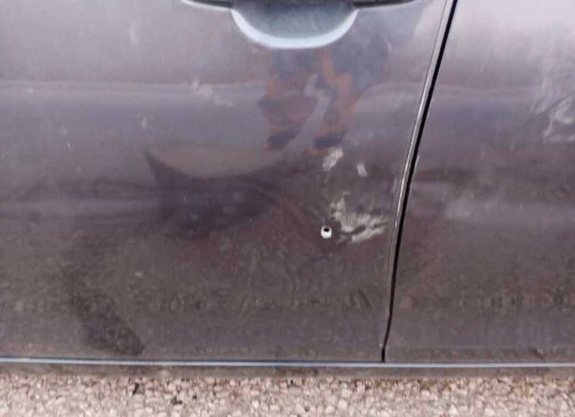 Harbin miyagu Harbin miyagu