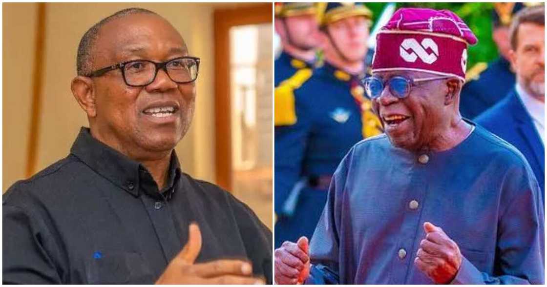 Peter Obi vs Tinubu/Peter Obi news/Peter Obi news today/Latest about Tinubu