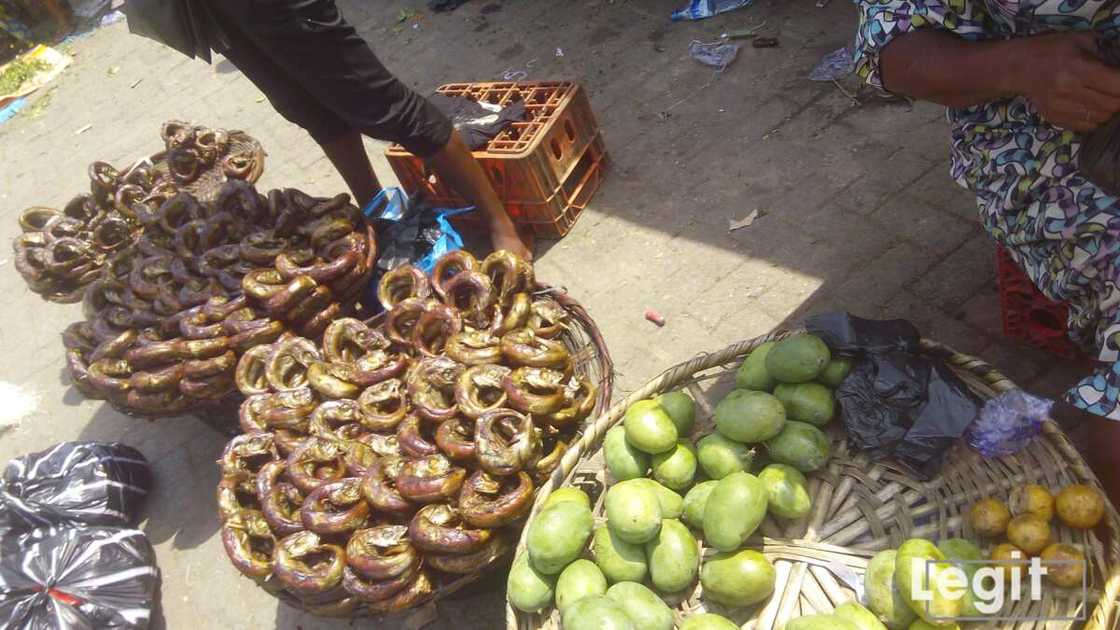 Even panla fish that is preferred by most buyers is now very expensive in markets across the state. Photo credit: Esther Odili Even panla fish that is preferred by most buyers is now very expensive in markets across the state. Photo credit: Esther Odili
