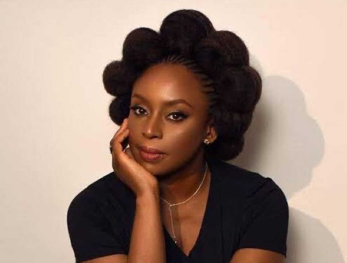 OPINION: As Chimamanda’s baby Inquest begins, a Foundational Question Lingers