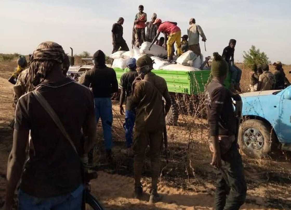 Hotunan sojin Najeriya suna tsaro da taya manoman Zabarmari girbi a gona