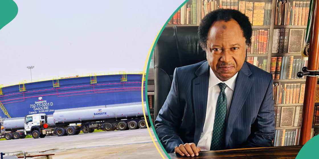 Shehu Sani Reacts as Dangote Refinery Slashes Petrol Price Shehu Sani Reacts as Dangote Refinery Slashes Petrol Price