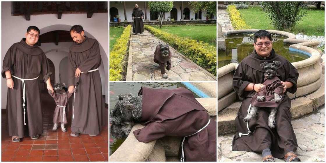 Two Men Adopt an Abandoned Dog, Dress it in Matching Outfit as Theirs, Photos go Viral, Spark Reactions Two Men Adopt an Abandoned Dog, Dress it in Matching Outfit as Theirs, Photos go Viral, Spark Reactions