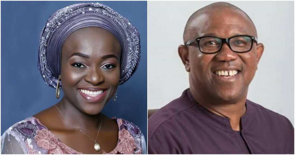 Peter Obi, 2023 election, Apapa, APC, PDP, Lagos state, apapafederalconsituency Peter Obi, 2023 election, Apapa, APC, PDP, Lagos state, apapafederalconsituency