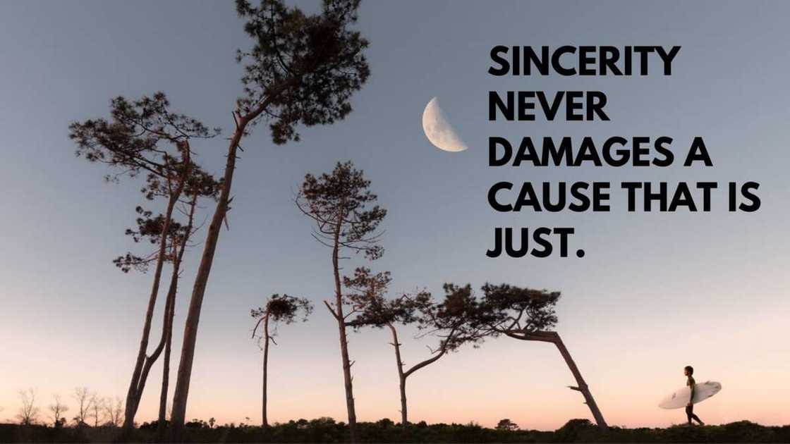 quotes on honesty quotes on honesty