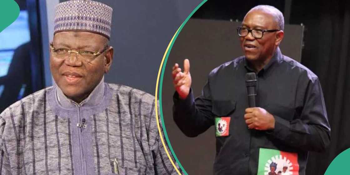 Lamido says Peter Obi is free to return to PDP