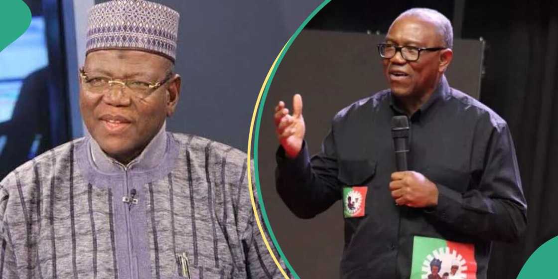 Lamido says Peter Obi is free to return to PDP Lamido says Peter Obi is free to return to PDP