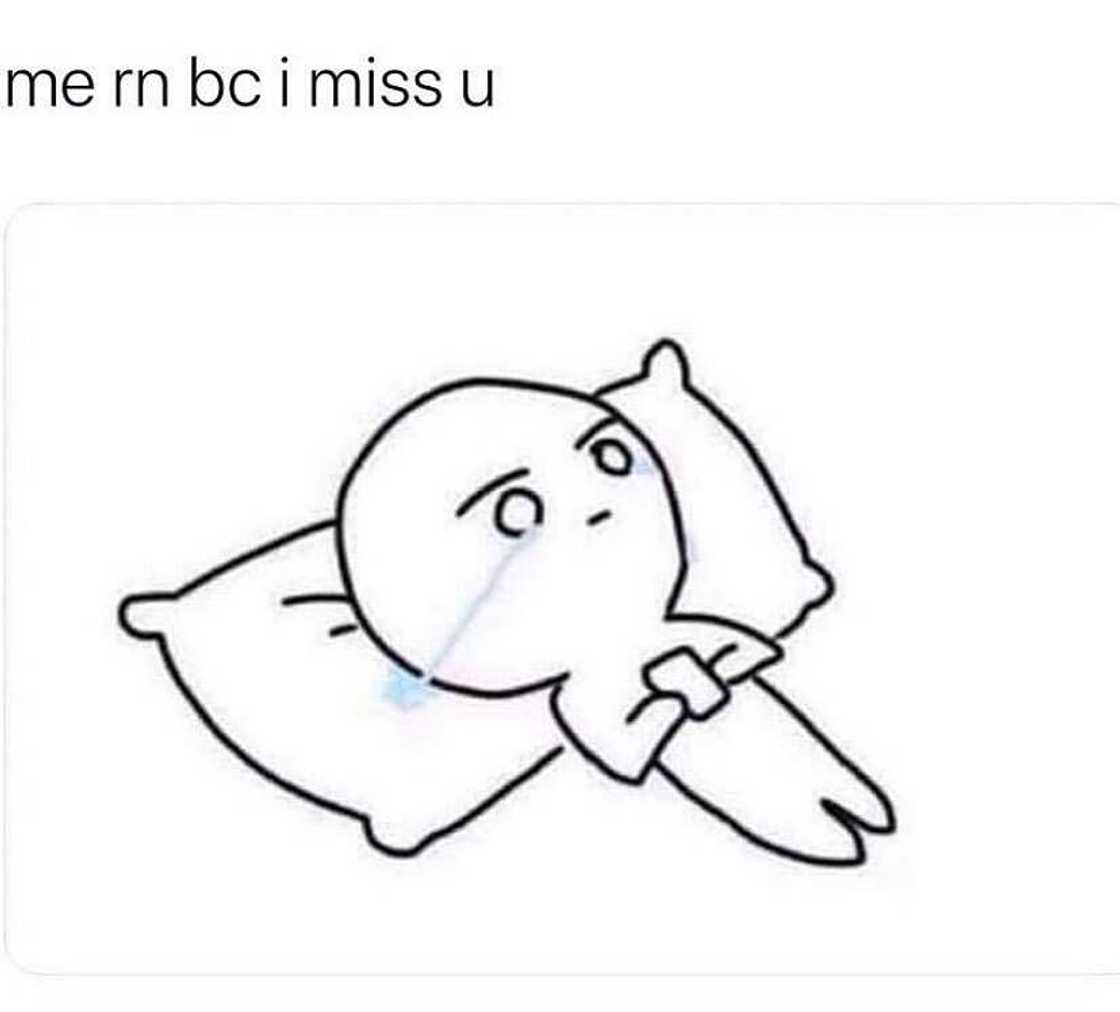 i miss you meme i miss you meme
