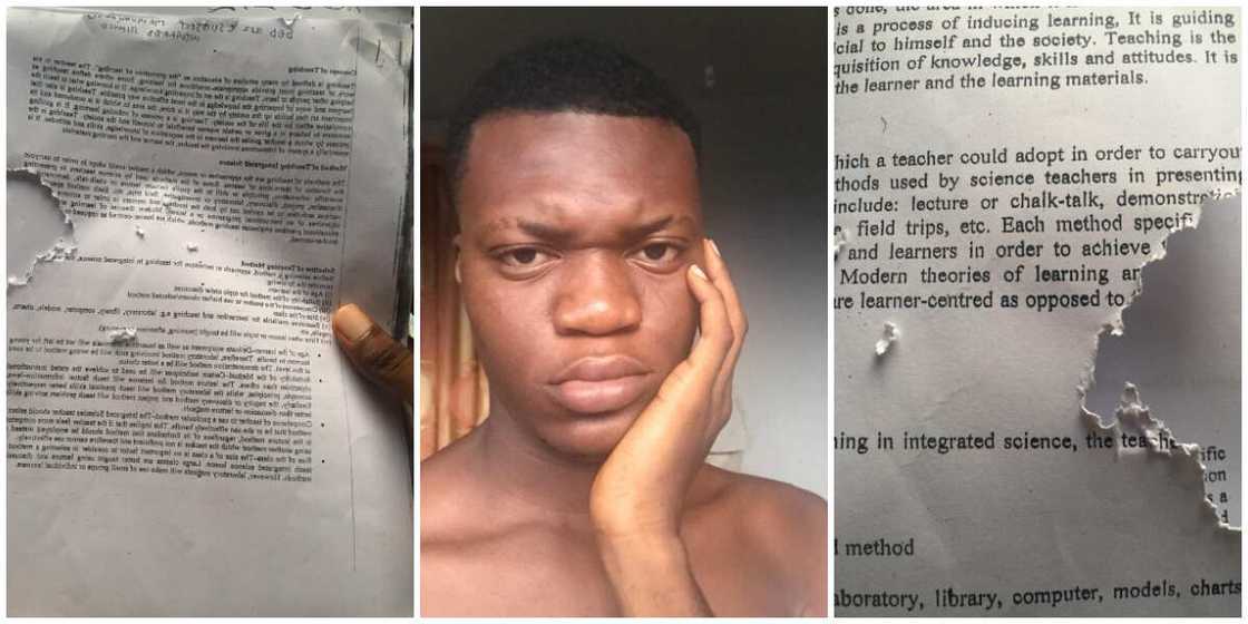 Your village people: Social media reacts as young man cries out after rats tampered with his exam material Your village people: Social media reacts as young man cries out after rats tampered with his exam material