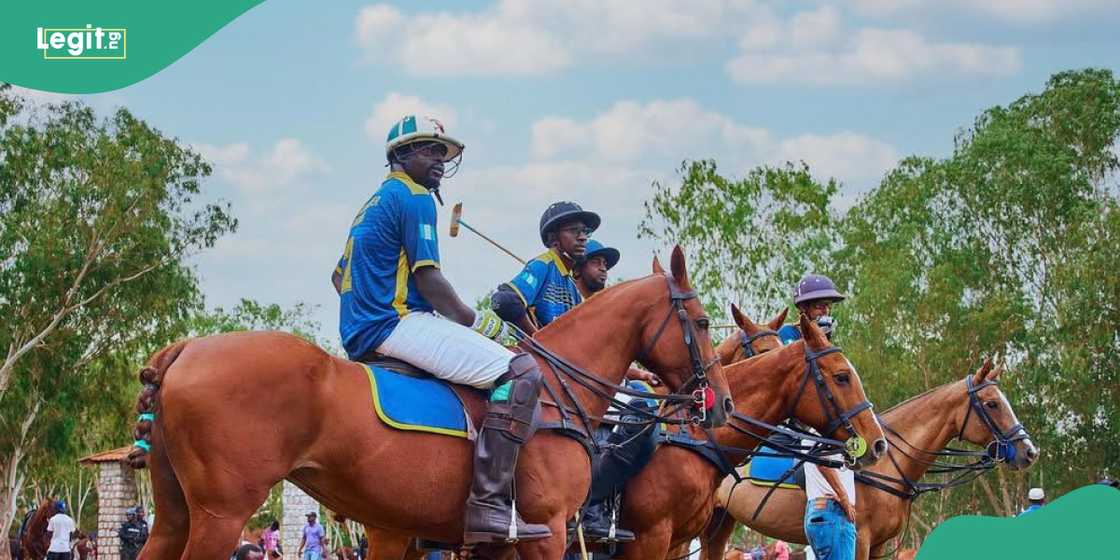 Clearwater Farms Brings Expertise to Lagos Polo Tournament Clearwater Farms Brings Expertise to Lagos Polo Tournament