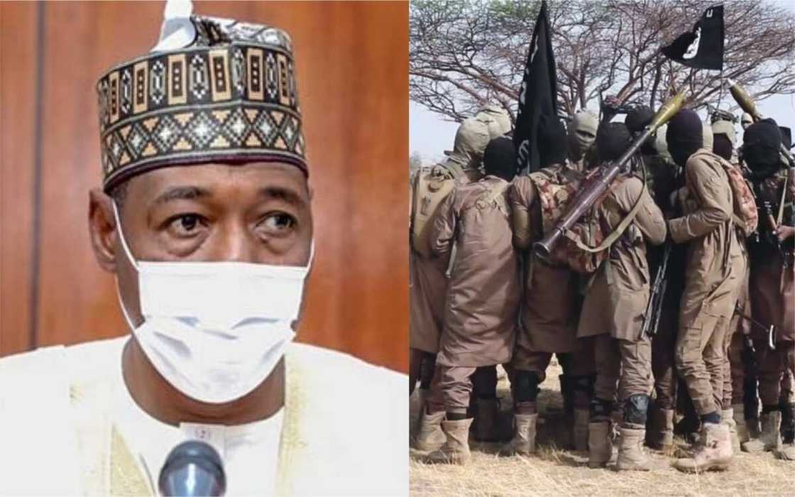 Ba ruwan Boko Haram: Waɗanda suka kaiwa tawagar Zulum hari sun fito sun magantu Ba ruwan Boko Haram: Waɗanda suka kaiwa tawagar Zulum hari sun fito sun magantu