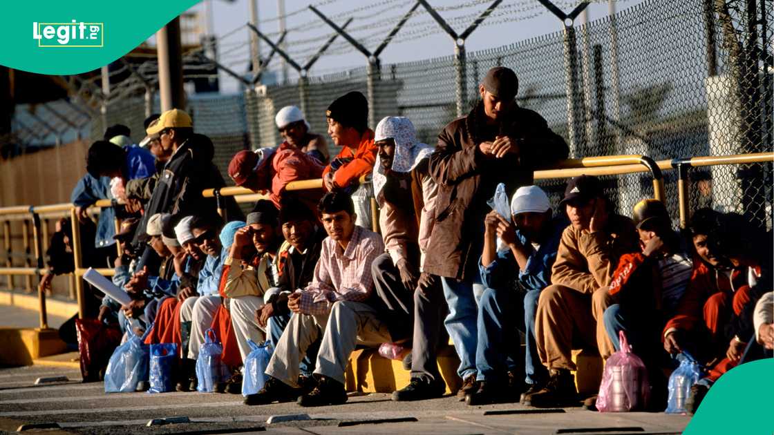 Yadda aka kama bakin haure a Saudiyya