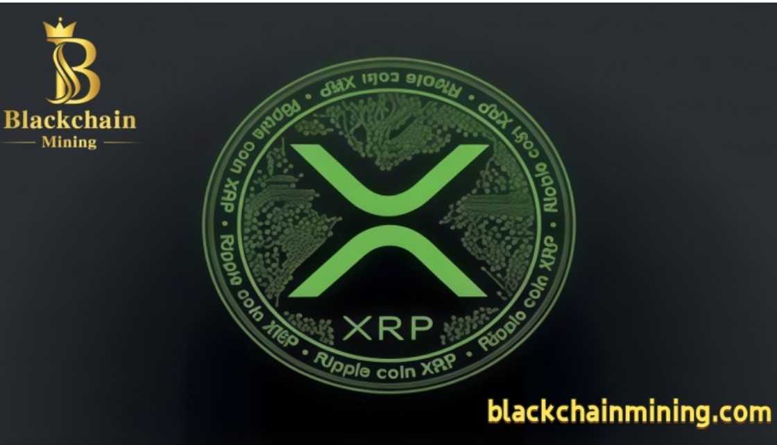 BlackchainMining: A New Sustainable XRP Cloud Mining Experience BlackchainMining: A New Sustainable XRP Cloud Mining Experience