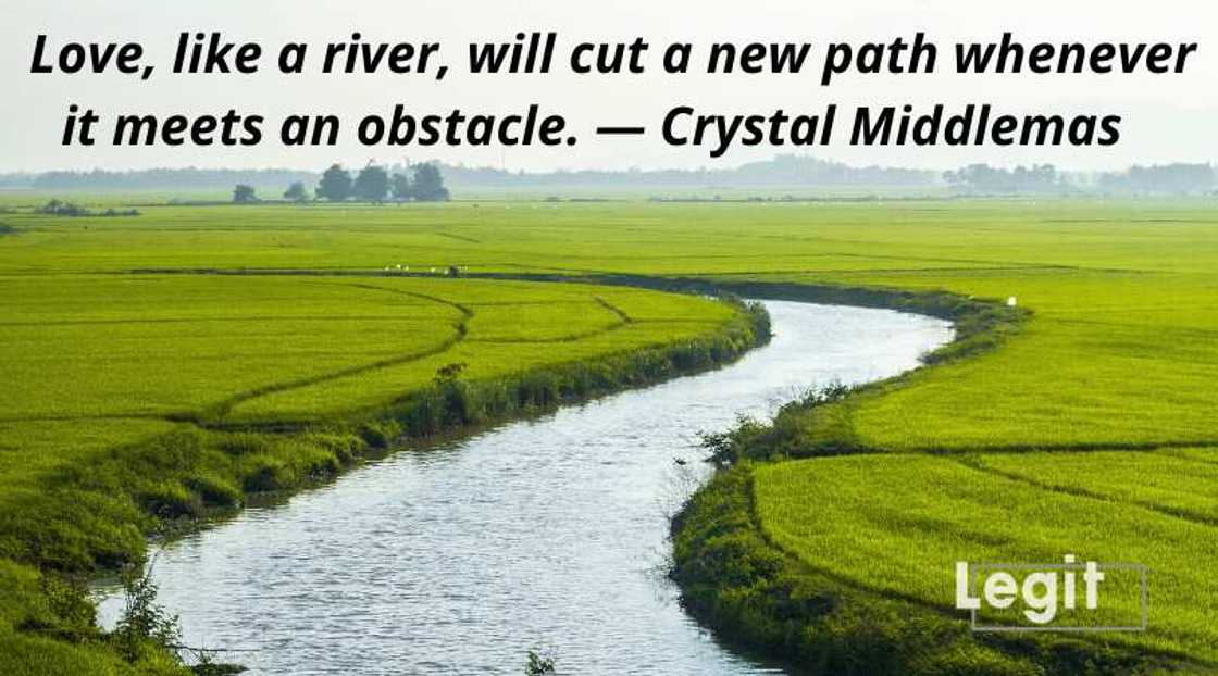 water quote water quote