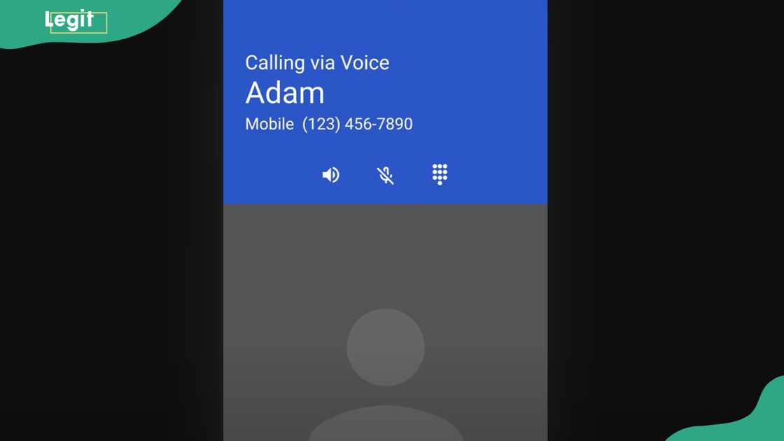 Google Voice call