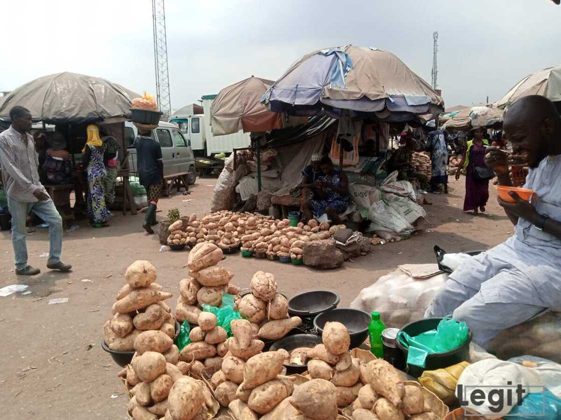 Lagos market, traders, 2023 presidential election, Bola Tinubu, Peter Obi, Rabiu Kwankwaso, Atiku Abubakar